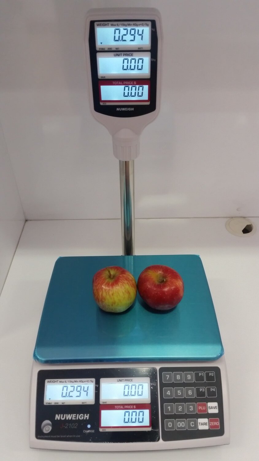 J2102 Price Computing Scale J2102 Price Computing Scale with Pole